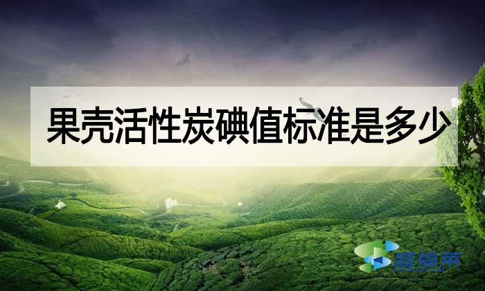 果殼活性炭碘值標準是多少？與其他活性炭相差多少？